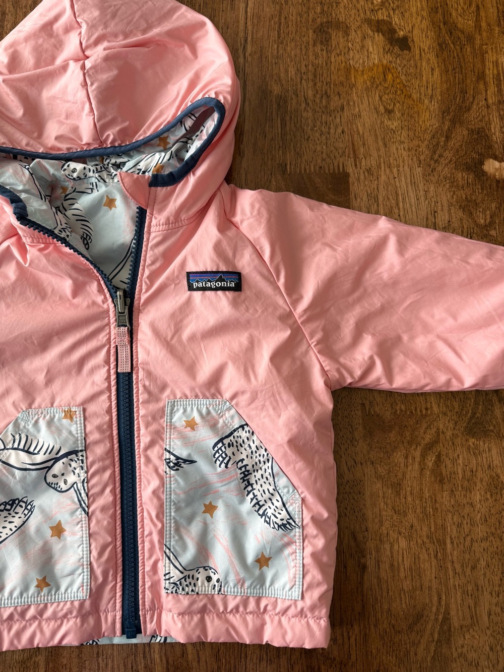 Patagonia Reversible Hooded Jacket